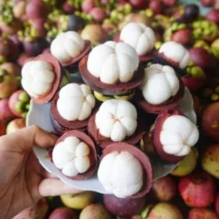 Lai Thieu Mangosteen