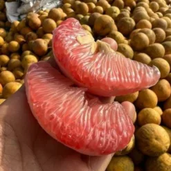 Tan Lac Red Grapefruit