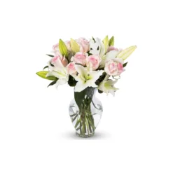 Benchmark Bouquets - Oriental Lilies & Pink Roses (Glass Vase Included) - Fresh Flowers for Delivery - Gift for Graduation, Birthday, Anniversary, Sympathy, Get Well, Congratulations