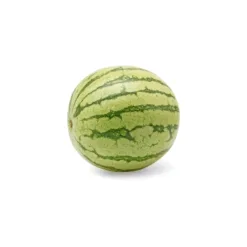 Mini Seedless Watermelon, 1 Each